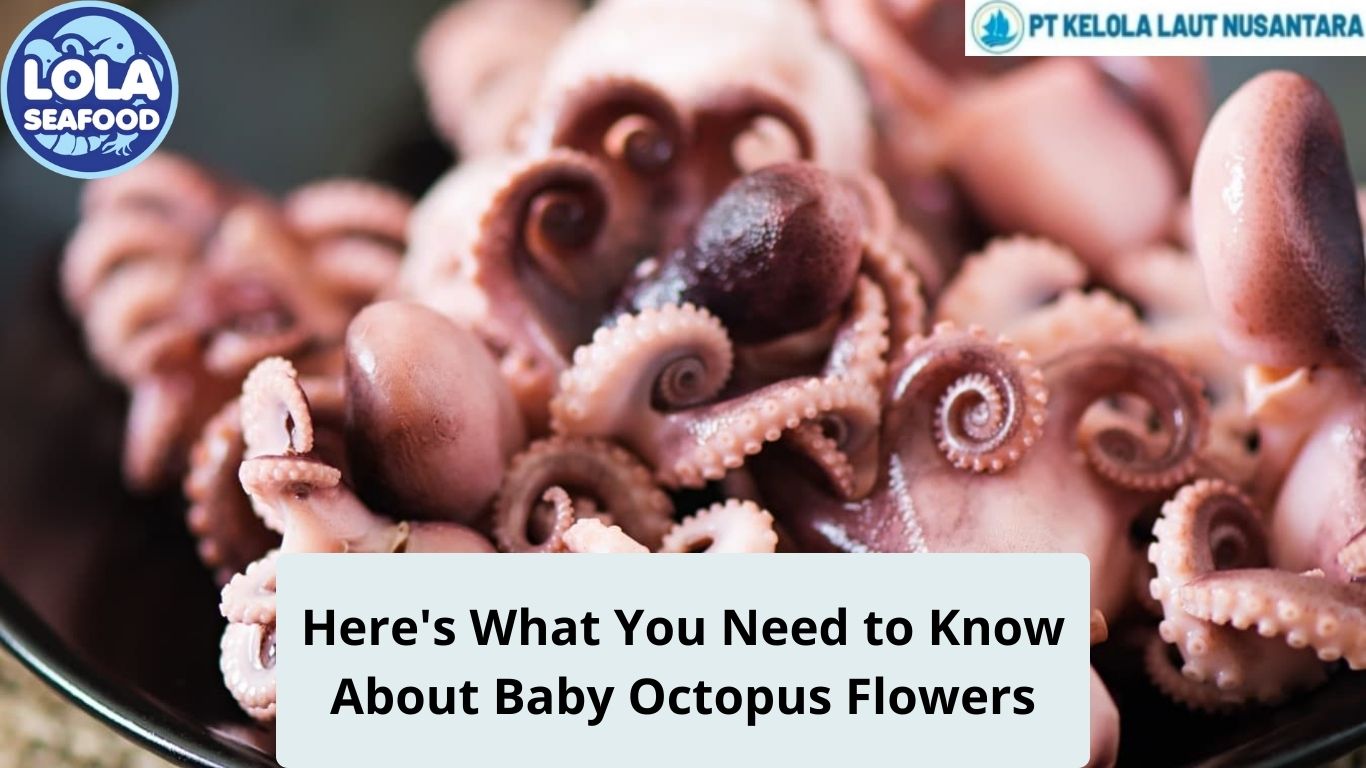 Here's What You Need to Know About Baby Octopus Flowers